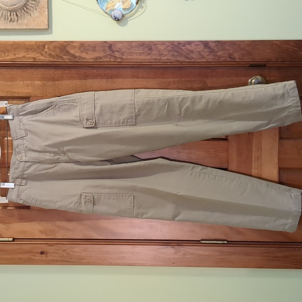 Eastern Mountain Sports insulated pants.